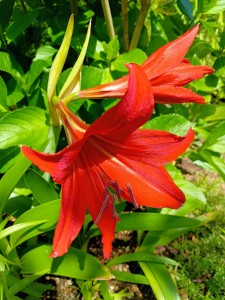 IMG_20250507_135713121_AE