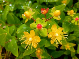 IMG_20250601_113320998_AE