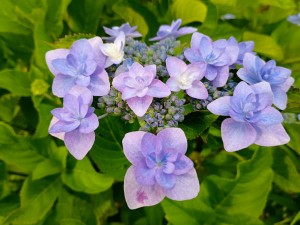 IMG_20250607_165706139_AE