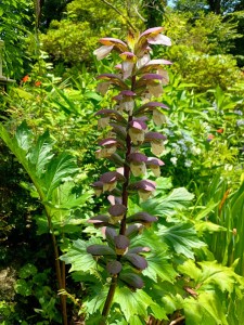 IMG_20250628_121920277_HDR_AE