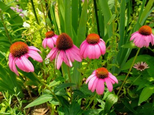 IMG_20250628_122040537_AE