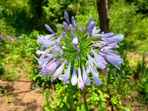 IMG_20250628_122133063_HDR_AE