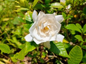 IMG_20250628_122432769_HDR_AE