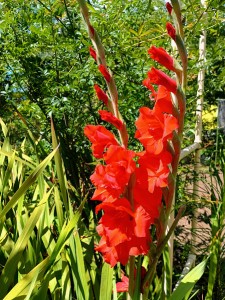 IMG_20250710_095734286_HDR_AE