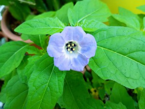 IMG_20250731_164928846_AE