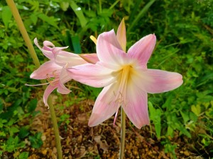 IMG_20250924_074832673_HDR_AE