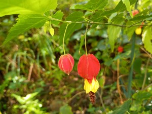 IMG_20251017_091059315