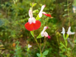 IMG_20251103_080259507