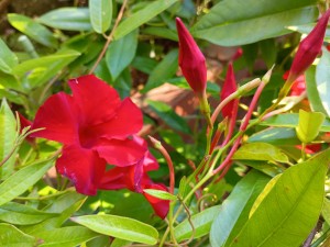 IMG_20251103_080754786