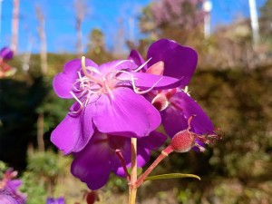 IMG_20260110_112911187_HDR