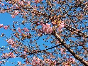 IMG_20260119_122850124