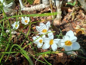 IMG_20260215_124555464_HDR