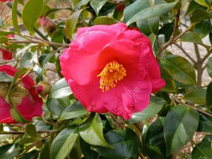 IMG_20260227_124515767