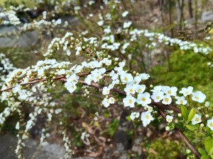 IMG_20260308_120821400_HDR