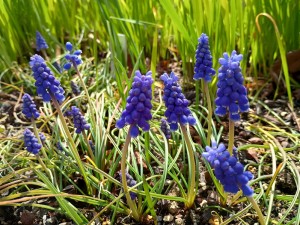 IMG_20260308_120926660_HDR