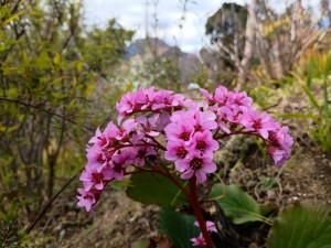 IMG_20260308_121021994