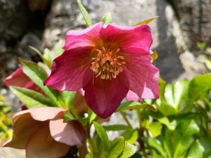 IMG_20260322_115459262