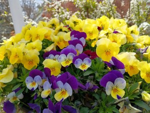 IMG_20260322_115652825