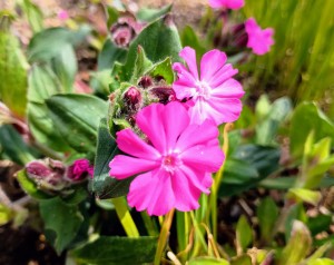 IMG_20260322_120045977