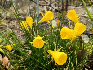 IMG_20260322_120109919